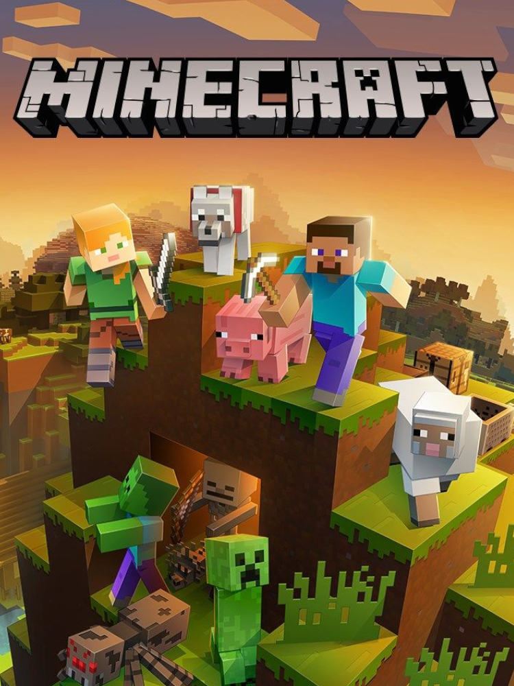 Minecraft Gameserver